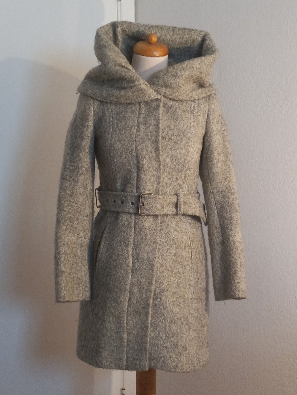 Amazing Wool Hooded Coat